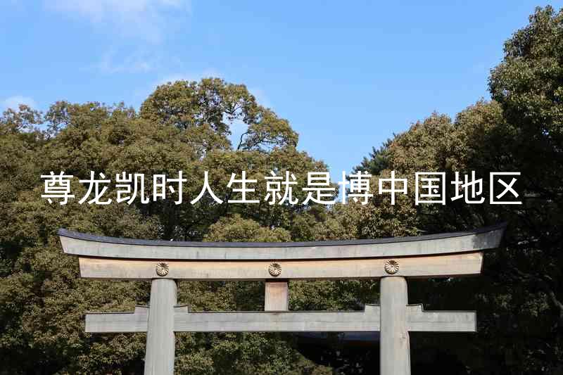 尊龙凯时人生就是博中国地区